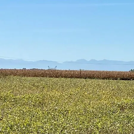 D'hotes Maison Des 5 Fleurs Отель типа 