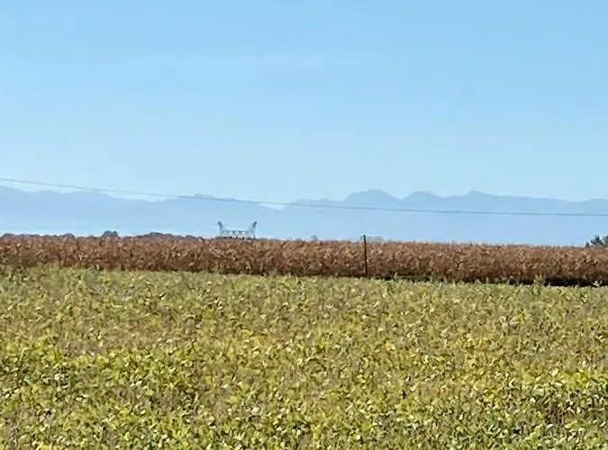 D'hotes Maison Des 5 Fleurs Bed & Breakfast